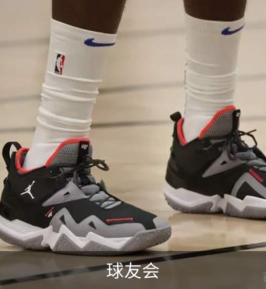球友会简介